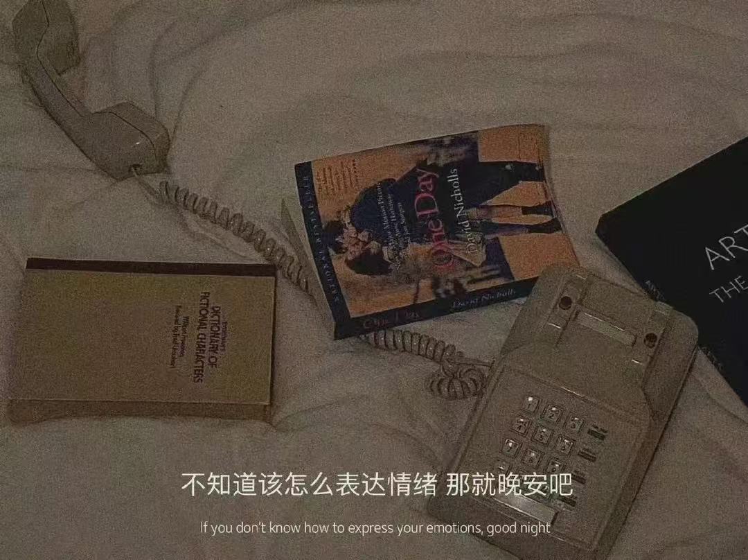图片丢失